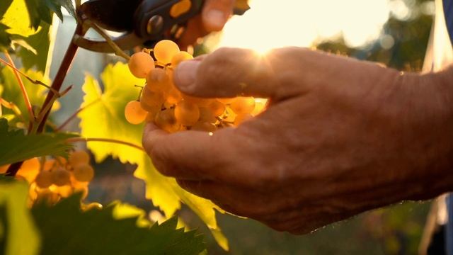 Лучшей коммерческая рекламы для вашего бизнеса