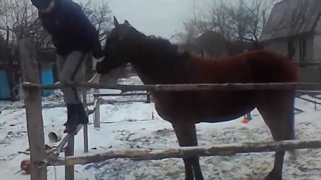 ржать смотреть всем смотреть онлайн