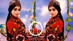🌹Бехтарин суруди Эрони🌹 Нав🌹ошики🌹Очень Красиви Иранский песни🌹 про любовь❤️iran_music Top ❤️Love❤️