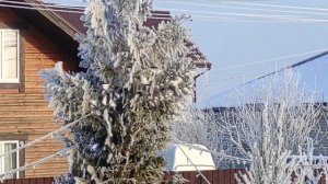 ДЕРЕВЕНСКИЙ ДНЕВНИК. "Театралы"