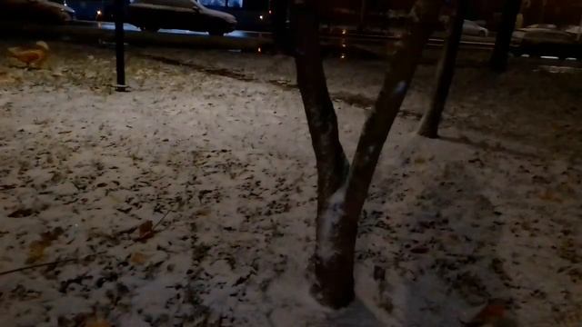 ❄️❄️🍁 Первый снег / природа художник /  31.10.2022 смотреть онлайн