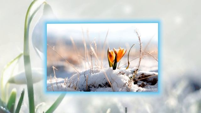 С первым днем весны! 🎸🎁 смотреть онлайн