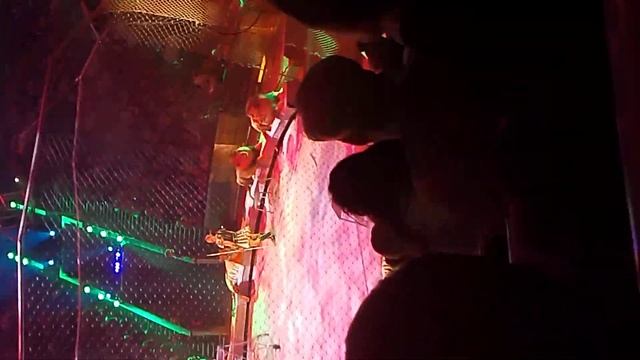 два льва и восемь тигров 🐯🦁 смотреть онлайн