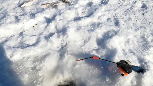 Рыбалка на сорогу таёжное озеро / Fishing on soroga taiga lake