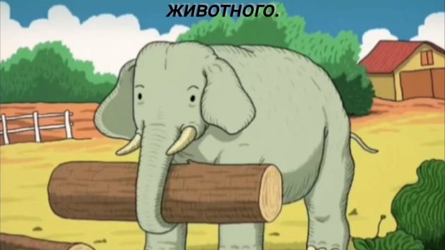 Тест на внимательность.