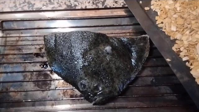 Родабайа горячего копчения в электрокоптильне. Рецепты Майора Пронина