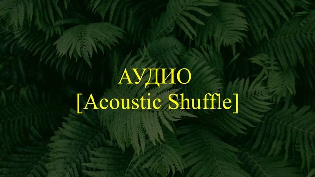 Аудио Acoustic Shuffle