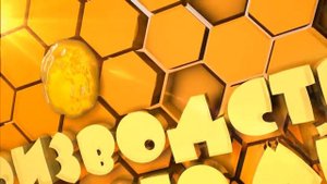 Производство сотового мёда