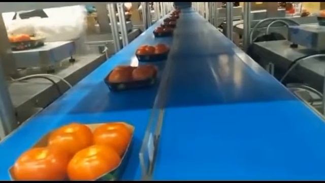 RGD, Bizerba | Автоматизация цеха фасовки и упаковки, линия упаковки в flow-pack
