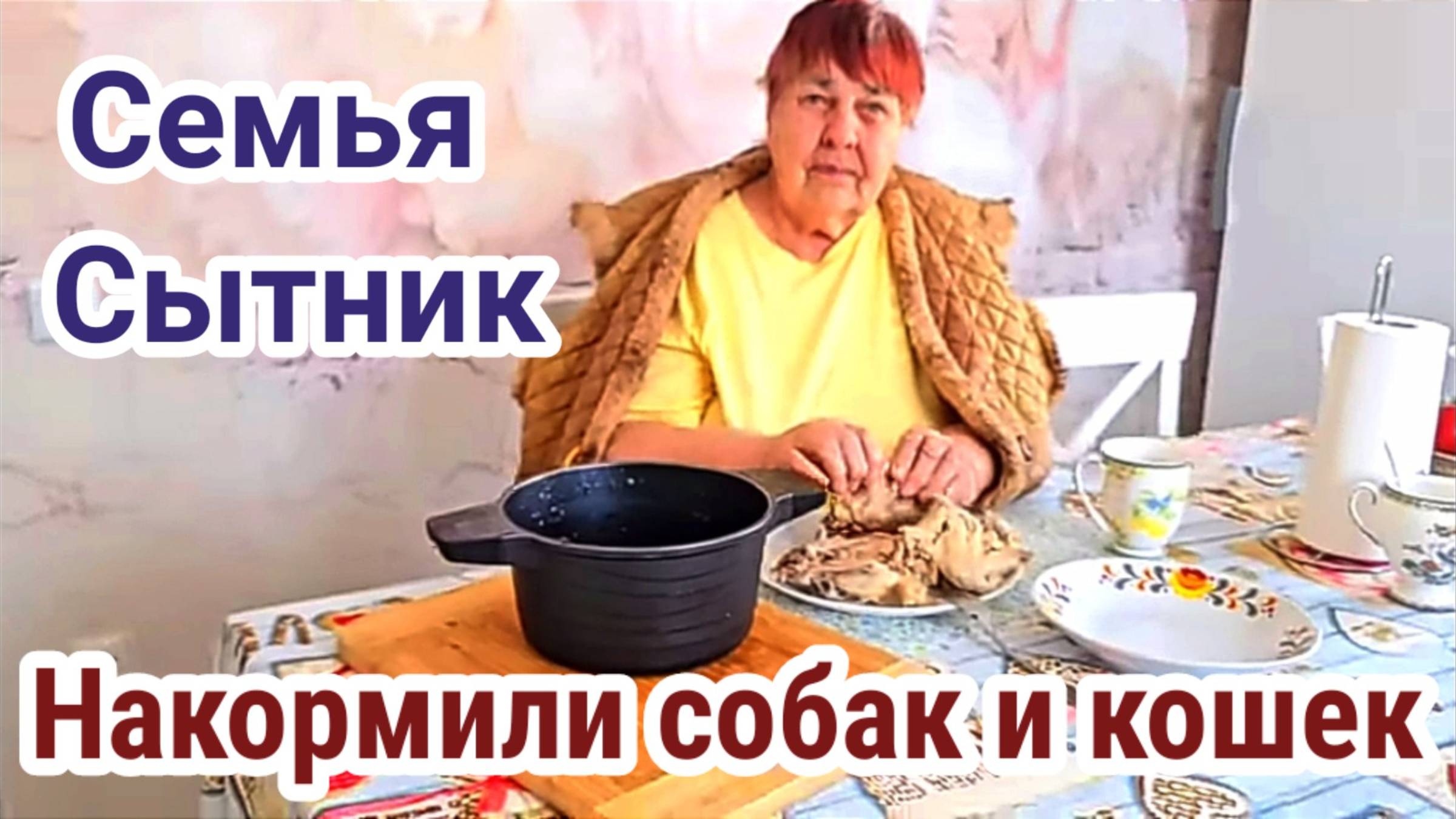 Семья Сытник- Накормил бездомных собак и кошек