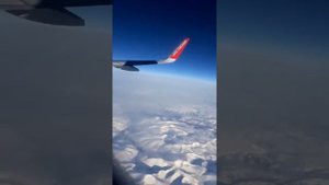 КАК НАПИСАТЬ ПРЕТЕНЗИЮ (ЖАЛОБУ)АВИАКОМПАНИИ УРАЛЬСКИЕ АВИАЛИНИИ