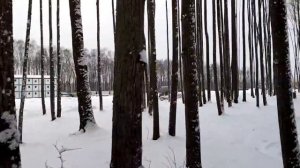 Работа грейферов на площадке Липовая Роща Рублево-Архангельской линии 15.12.2024