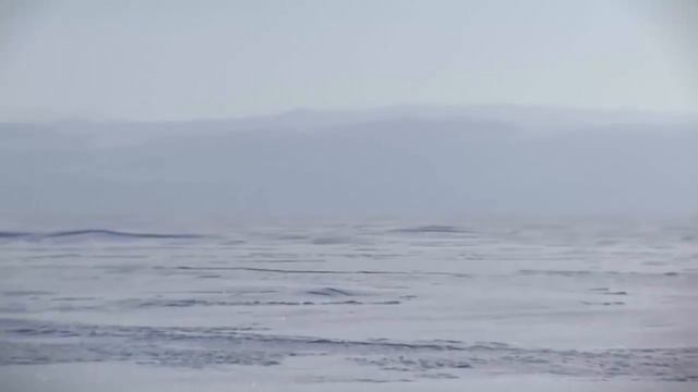 СИБИРЬ, САМЫЕ ЛУЧШИЕ КАДРЫ - #ПокоряемМирЧерезAFY