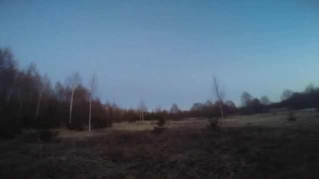 Вальдшнеп- дробоед!? Охота на Вальдшнепа.