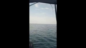 Морское чудовище, первый в жизни трофей