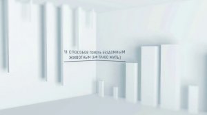 11 Способов Помочь Бездомным Животным 🐾 Как Спасти и Поддержать Наших Меньших Братьев | Славик Лайф