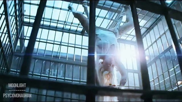 Harley Quinn || Paradise смотреть онлайн