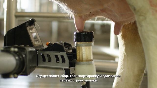 DeLaval VMS™ V300. Новая система добровольного доения. смотреть онлайн