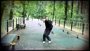 Fanzi quan - separate methods from 24 forms.