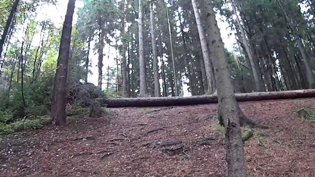 Лес Муравейник Мангалы смотреть онлайн