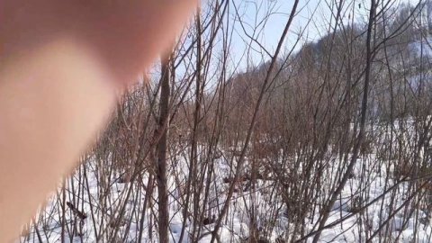 Буксировщик ,,ПОЛЯРНЫЙ ВОЛК,, на заготовке дров.