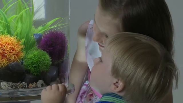 King British смотреть онлайн