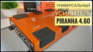 Компактный четырехканальный усилитель для большинства задач DL Audio Piranha 4.60