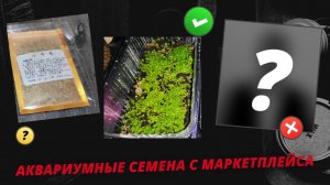 Семена аквариумных растений с маркетплейса