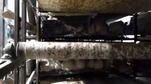 Система пометоудаления на перепелиной и куриной клетке. Натяжная станция