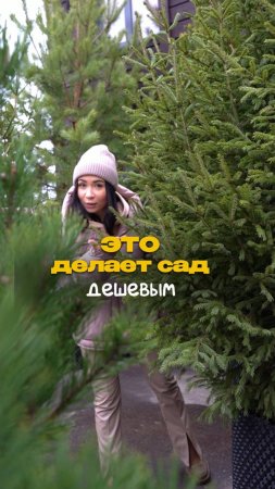 САДОВЫЕ АНТИТРЕНДЫ 2025: от чего пора отказаться
