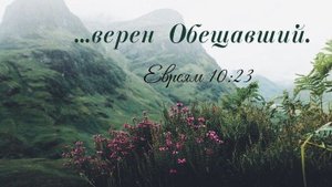 Доверие | христианский стих