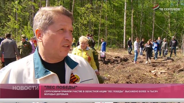 "Лес Победы". смотреть онлайн