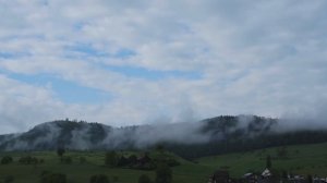 Биоцентризм: Свет и действия (глава 4)