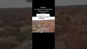 Дохлые распотрошонные укропы и их ямы,где их усраина закопала🤣🤣🤣