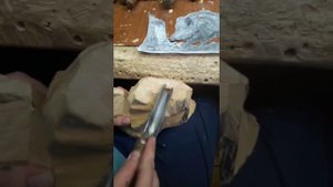 Мастеркласс. Композиция кабан у пня .mp4