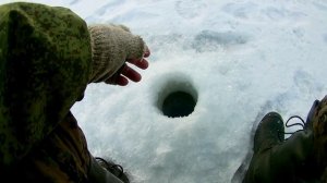 Мартовский окунь 2025