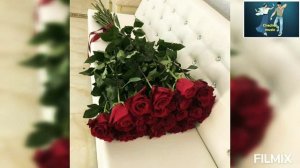 Цхьа безам бара сан Марьям Ташаева &  Ислам Джамалдинов