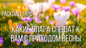 Весна перемен. Что принесёт вам март