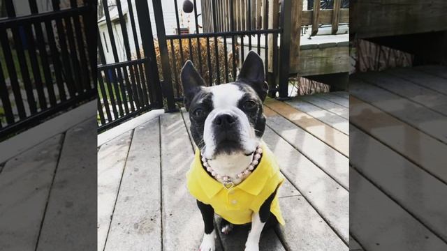 National Girlfriend’s Day смотреть онлайн