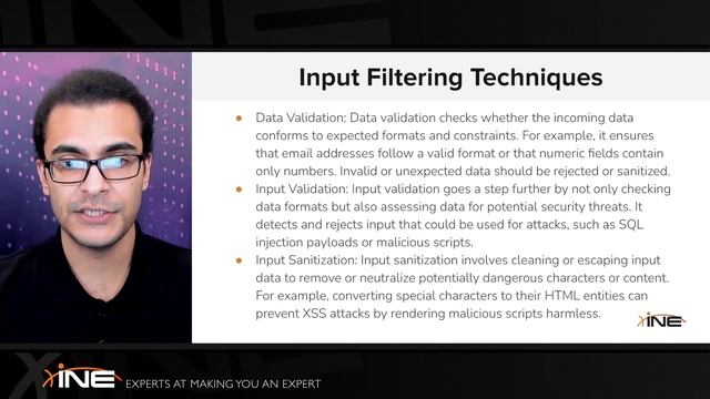 8 Introduction to Input Filtering