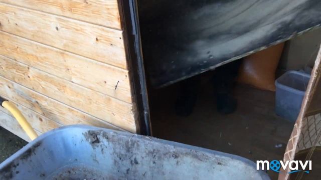 Погода: уборка в перепелятнике . Мусор . смотреть онлайн