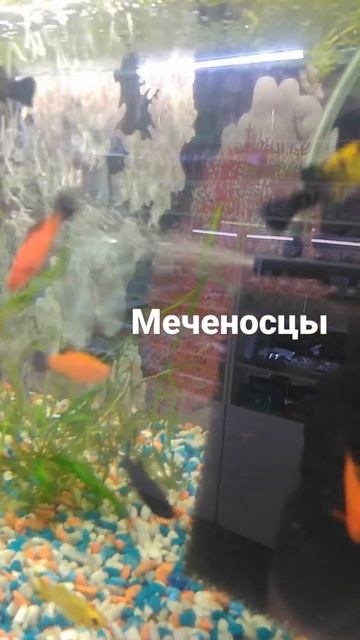 2 декабря 2021 г. смотреть онлайн