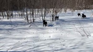 Прекрасная погода, прекрасная прогулка☀️