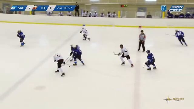 SAP-2    Ice Hooligans