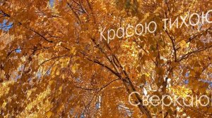 Визит Счастья