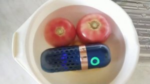 Обзор устройства для очистки от пестицидов овощей и фруктов