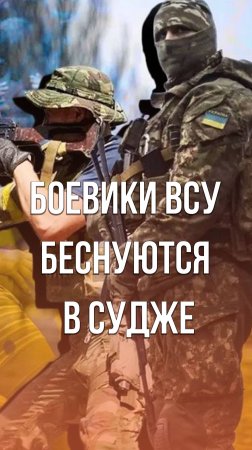 Смотрите, что боевики ВСУ творят в Курской области. Видео из Суджи