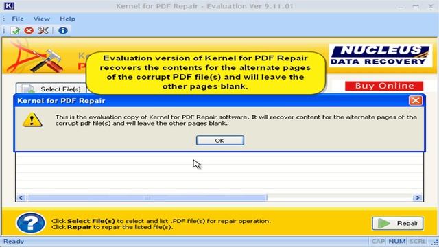 Repair Multiple PDF Documents in a Single Go Using Kernel for PDF Repair