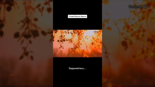 Слово Иисуса Христа