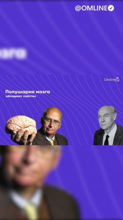 Как наш мозг влияет на поведение, эмоции и принятие решений?